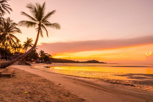 playa de San Junípero